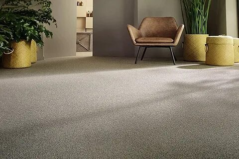 The Complete Guide to Choosing Wall to Wall Carpets for Every Room